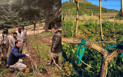 ACTUALIZACIÓN DE LA AGRICULTURA DE INVIERNO 2021