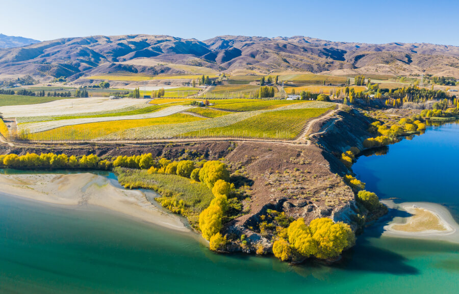 Carrick Carrick Wines