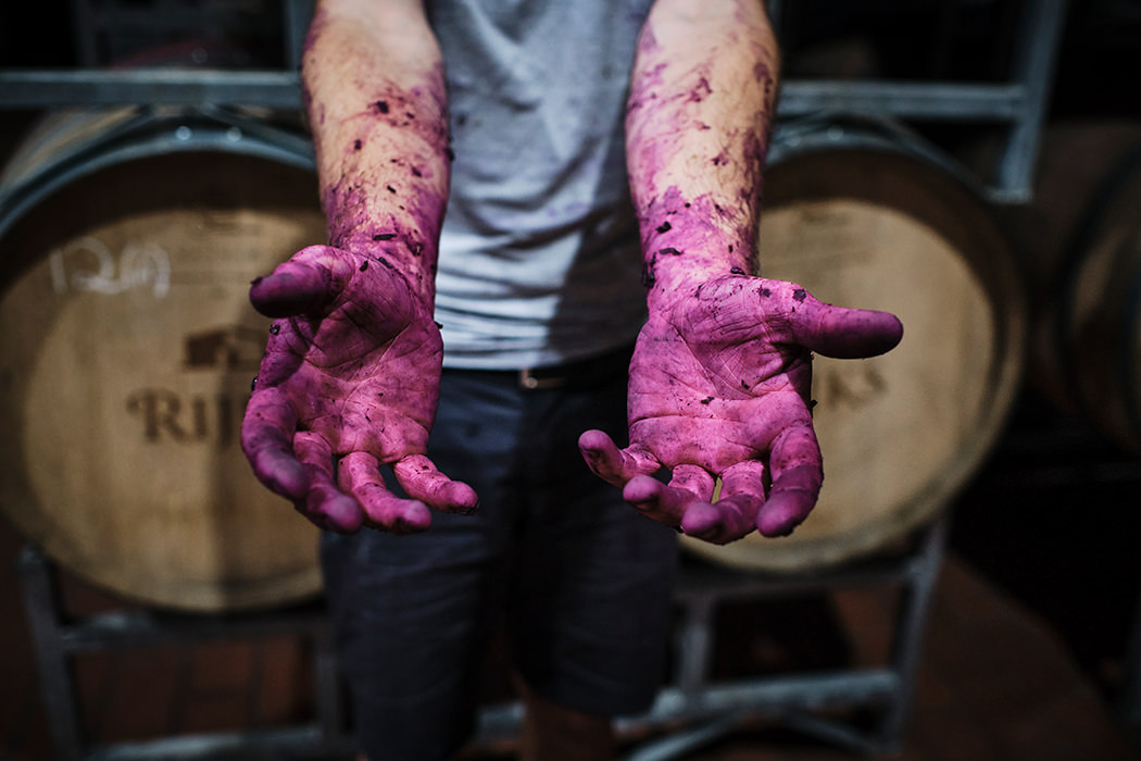 Pinotage-hands Pinotage Rijks