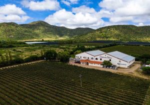 CAMPOS DE SOLANA