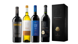 BOTELLAS DE VINOS DE BOLIVIA