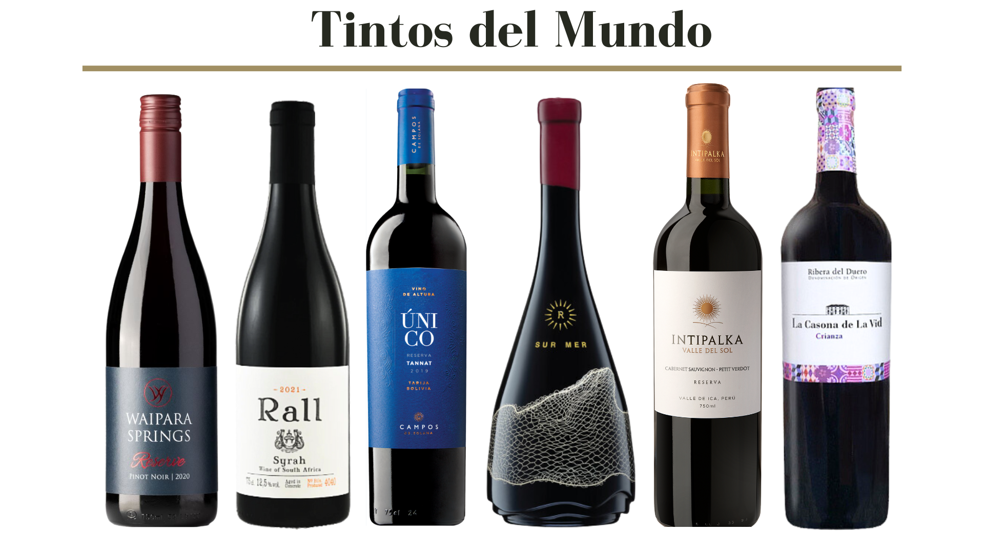 Pack de vinos tintos del mundo