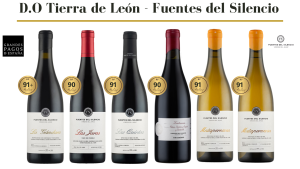 Fuentes del Silencio