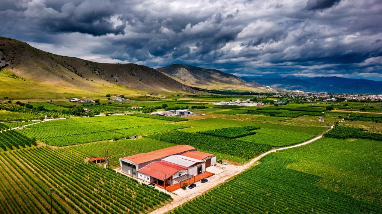 zafeirakis alpha-estate-winery